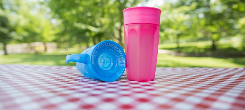 Cheers360 cups on top of picnic table